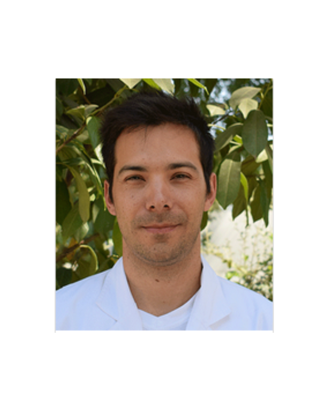 Felipe Muñoz — Nutricionista Deportivo